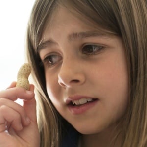 Allergy sufferers want to be able to ingest small amounts of peanuts safely. 