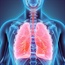 QUIZ: Can you live with only one lung?