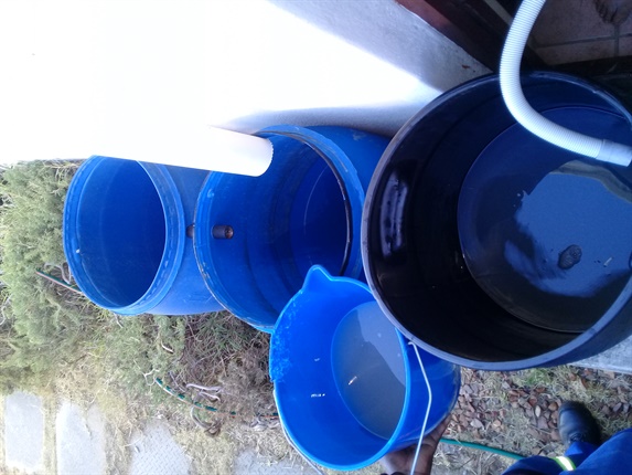 <p>"Water Saving using inexpensive plastic 220L drums.</p><p>The drums can be linked with a 25mm plastic pipe if more
water storage capacity is needed.

&nbsp;</p><p>The washing machine plastic drum is 100L and the water from
the machine is mixed 50/50 with rain water to feed trees and shrubs in the
garden, and as grey water." -&nbsp;Mark Algra&nbsp;</p><p></p><p><strong></strong></p>