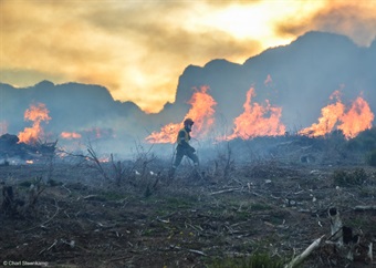 'You have to be brave': How Cape Town firefighters stared down Table Mountain blaze