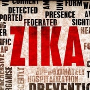 Zika – Google free image