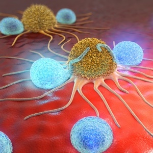 A new vaccine can help T cells destroy cancer.