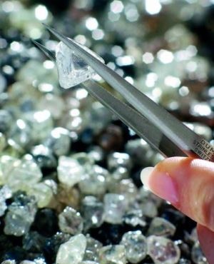 Rough diamonds and diamond sorting or grading at 