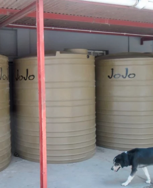 While some residents are not concerned about the drought, the owner of the Hankey Spar has invested in water tanks. (Joseph Chirume, GroundUp)