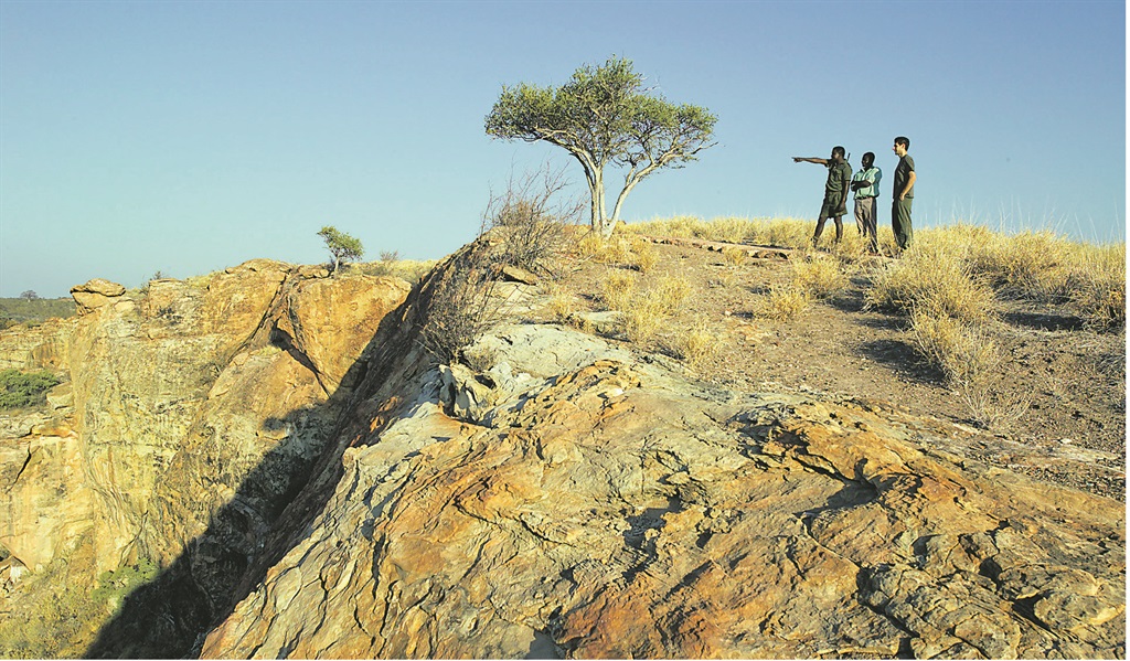CALL OF THE WILD The Mapungubwe National Park is a wonder to behold  