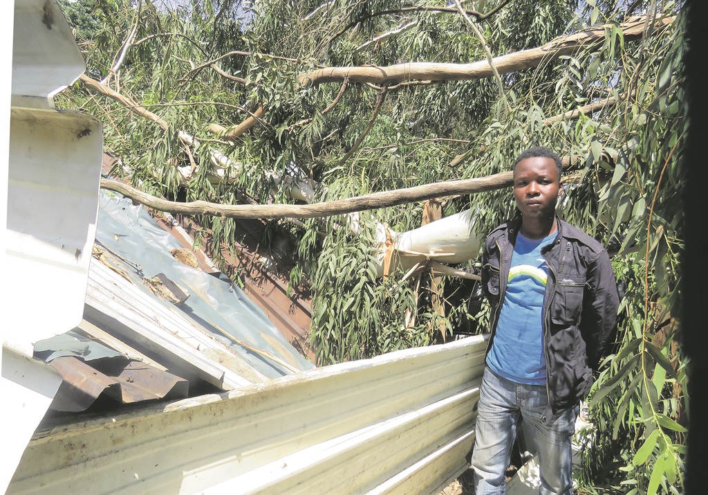 Matome Mabela stands next to the tree (right) that crushed shacks.     Photos by Ntebatse Masipa 