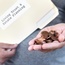 Retirement death benefit: fund trustees can override deceased member’s instructions