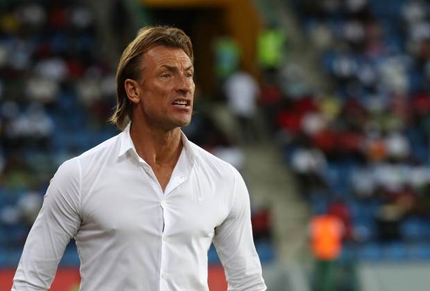SA fans wish Hervé Renard was Bafana coach as the white shirt