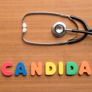 Candida from Shutterstock