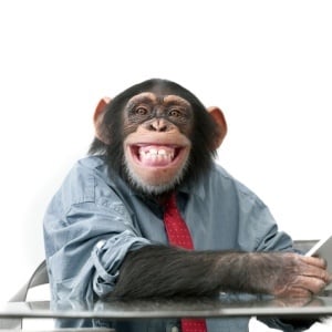 Smiling monkey – iStock