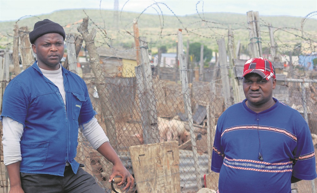 Pig farmers Simphiwe Bangisa and Mpendulo Nkwateni say their livestock is under threat from land invaders.                                     Photo by Thamsanqa Mbovane 