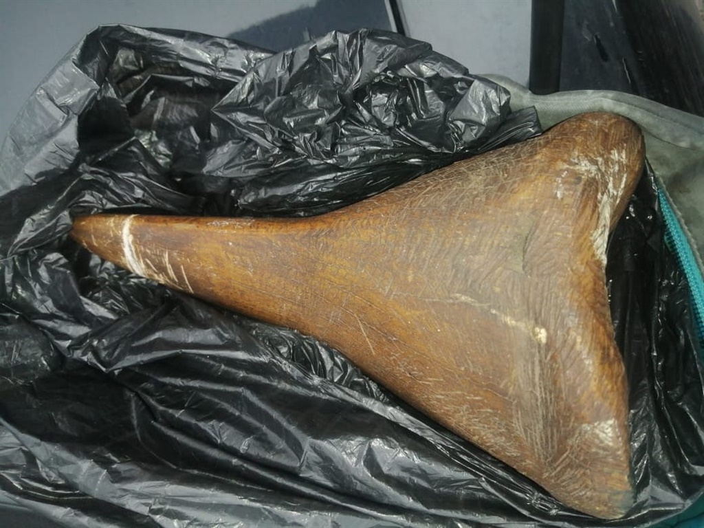 A rhino horn  has been seized.