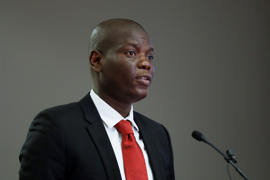 News24 | Lamola responds to SONA: Establishing a permanent ID is like fixing a plane in the air
