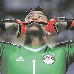 VETERAN:  Essam El-Hadary celebrates a win. (Gavin Barker, Backpage)