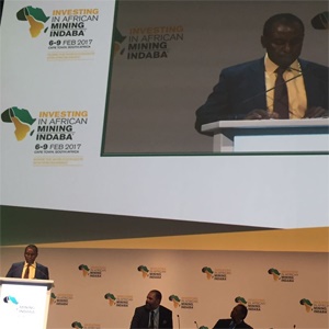 Mines Minister Mosebenzi Zwane delivers the opening address at Africa's biggest mining conference, the Mining Indaba, held in Cape Town. (Liesl Peyper, Fin24)
