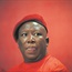 EFF heads back to Con Court so Parliament can punish Zuma