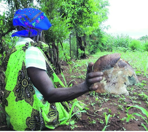 Afraid to show her face, gogo Tinyiko Ndlovu with a half loaf she claims was buried in her yard.     Photo by Mzamani Mathye