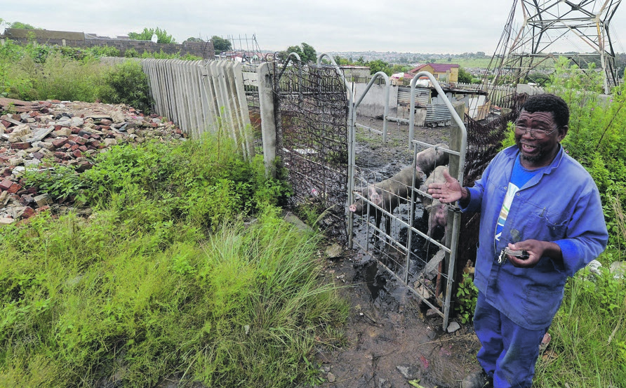 Steven Diphoko says his relatives don’t visit him anymore because of the smell of the pigs near his house.             Photo by Trevor Kunene