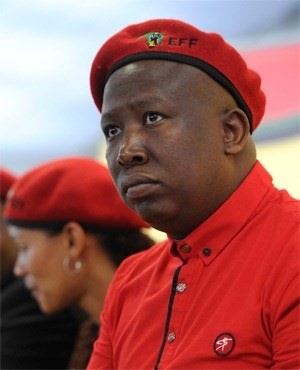 EFF leader Julius Malema. File photo