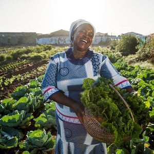 Vegetable gardens can help people eat more healthily. 
