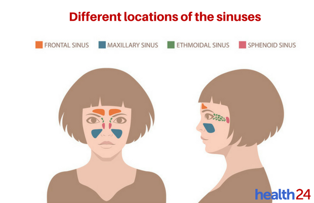 nasal sinus congestion