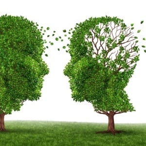 Education level has no effect on development of Alzheimer's. 