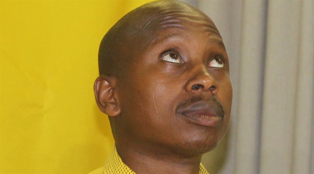 The ANC’s Andile Lungisa has been asked to step down. Picture: Nosipiwo Manona
