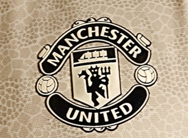 Manchester United away kit 2019/20: Leaked picture shows 'snake skin'  graphic for Red Devil's second strip