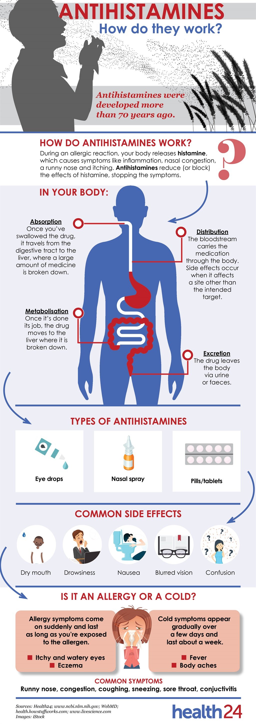 antihistamine, infographic, allergy, how it works,