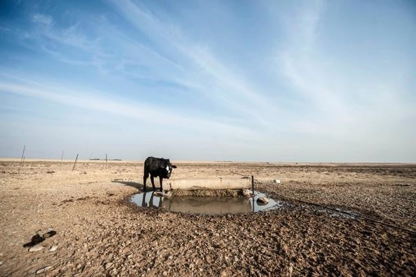 World Bank launches a drought resilience initiative in support of SADC countries