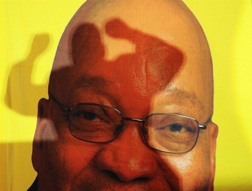 Is President Jacob Zuma on a suicide mission?Picture: Felix Dlangamandla