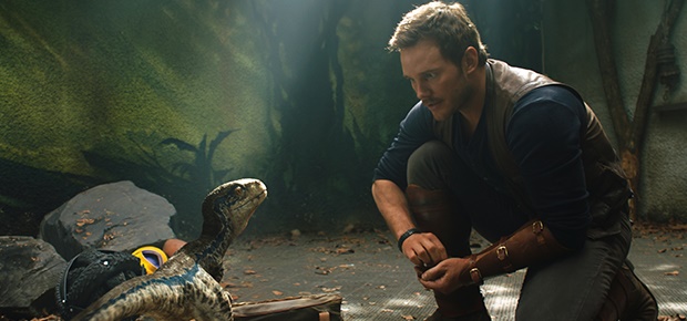 Chris Pratt in a scene from the movie Jurassic Park: Fallen Kingdom. (AP)