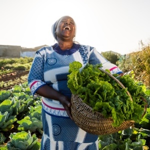 Limpopo grannies grow their own vegetables. 
