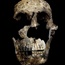 PICS: Homo naledi species 