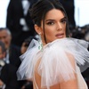 Kendall Jenner stuns on the Cannes red carpet in almost transparent fairy princess dress