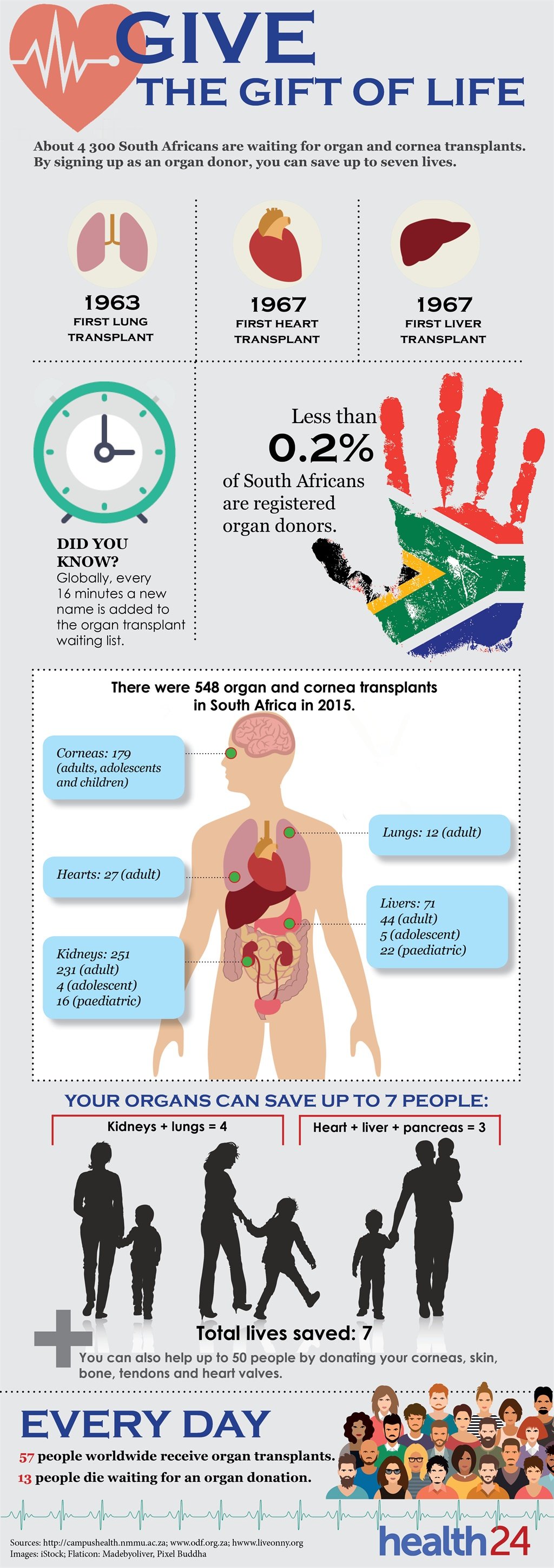 organ donor, organ, inforgraphic, save a life