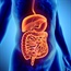 Only 20% of IBS sufferers seek medical help
