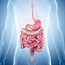QUIZ: How well do you know your digestive system?