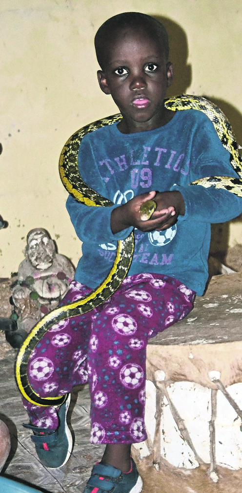 Asande Luthuli with the reptiles he uses to heal people.        Photo by Luvuyo Mehlwana 