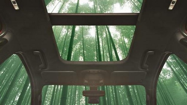 <b>WHAT'S NEXT?</b> What's super strong, fast-growing and potentially part of your next car? Well if Ford's research proves fruitful it could be Bamboo! <i>Image: Ford</i>