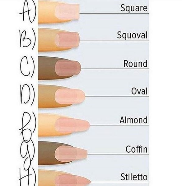 Share 139 Long Nail Shapes Chart Latest Songngunhatanh edu vn