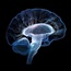 A single stroke can age the brain by 8 years