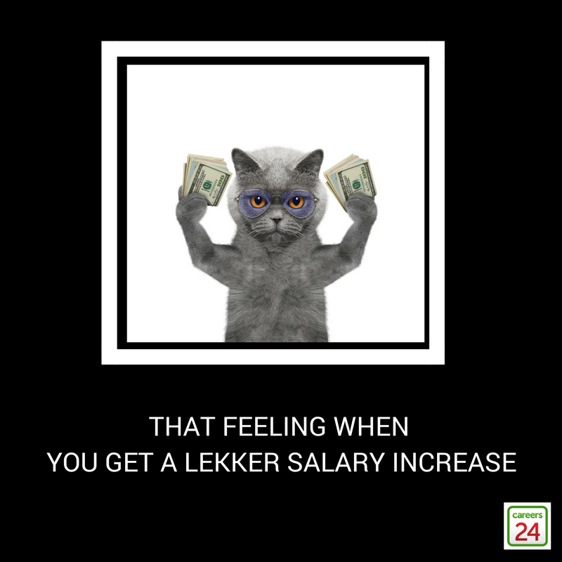 cat meme salary