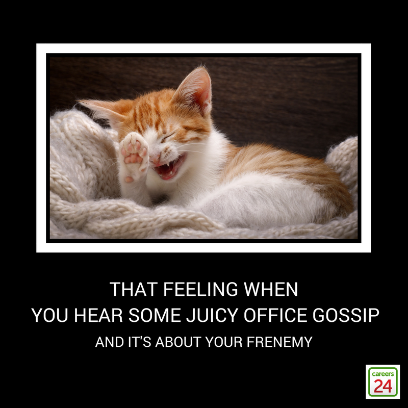 gossip cat meme