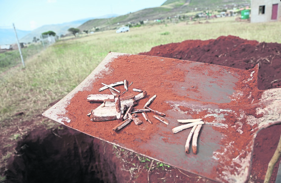 Bauba Sekhukhune found these suspected human bones when he was digging a hole for a toilet in Makgwale, Limpopo.      Photo by Joshua Sebola