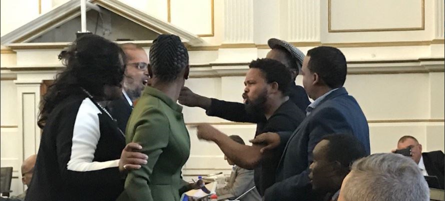 Andile Mngxitama gets into a scuffle in a Parliament committee meeting.Picture: David Maynier/Twitter
