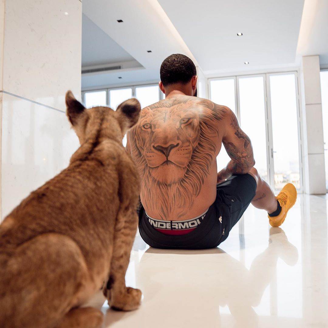 Roar Wildlife News on X: WHAT A SHAME @Memphis Depay! As a Dutch football  professional and therefore “Orange Lion” we expected more from you! This is  so wrong! These are not pets!