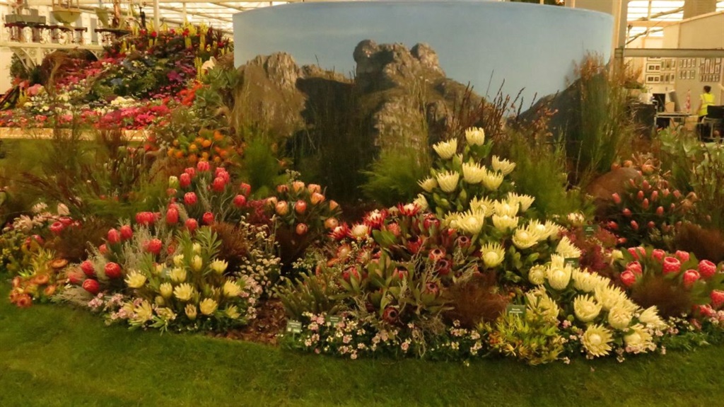 SA wins gold again at Chelsea Flower show Netwerk24