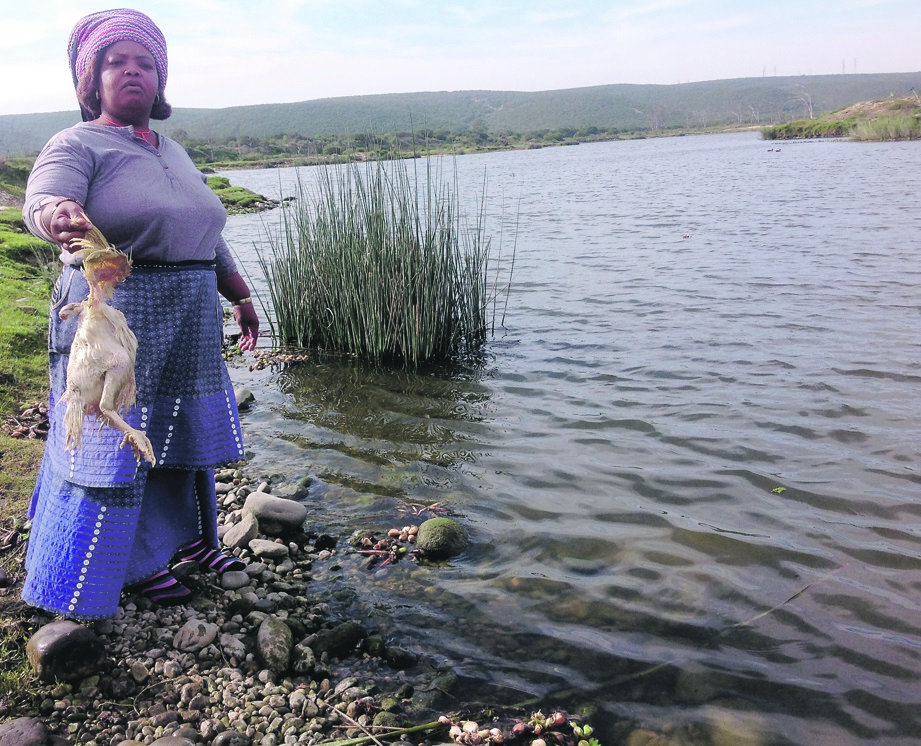 Nomanyange Vika-Jamani says her ancestors have told her to warn fake sangomas to stop spilling the blood of chickens. Photo by Mkhuseli Sizani