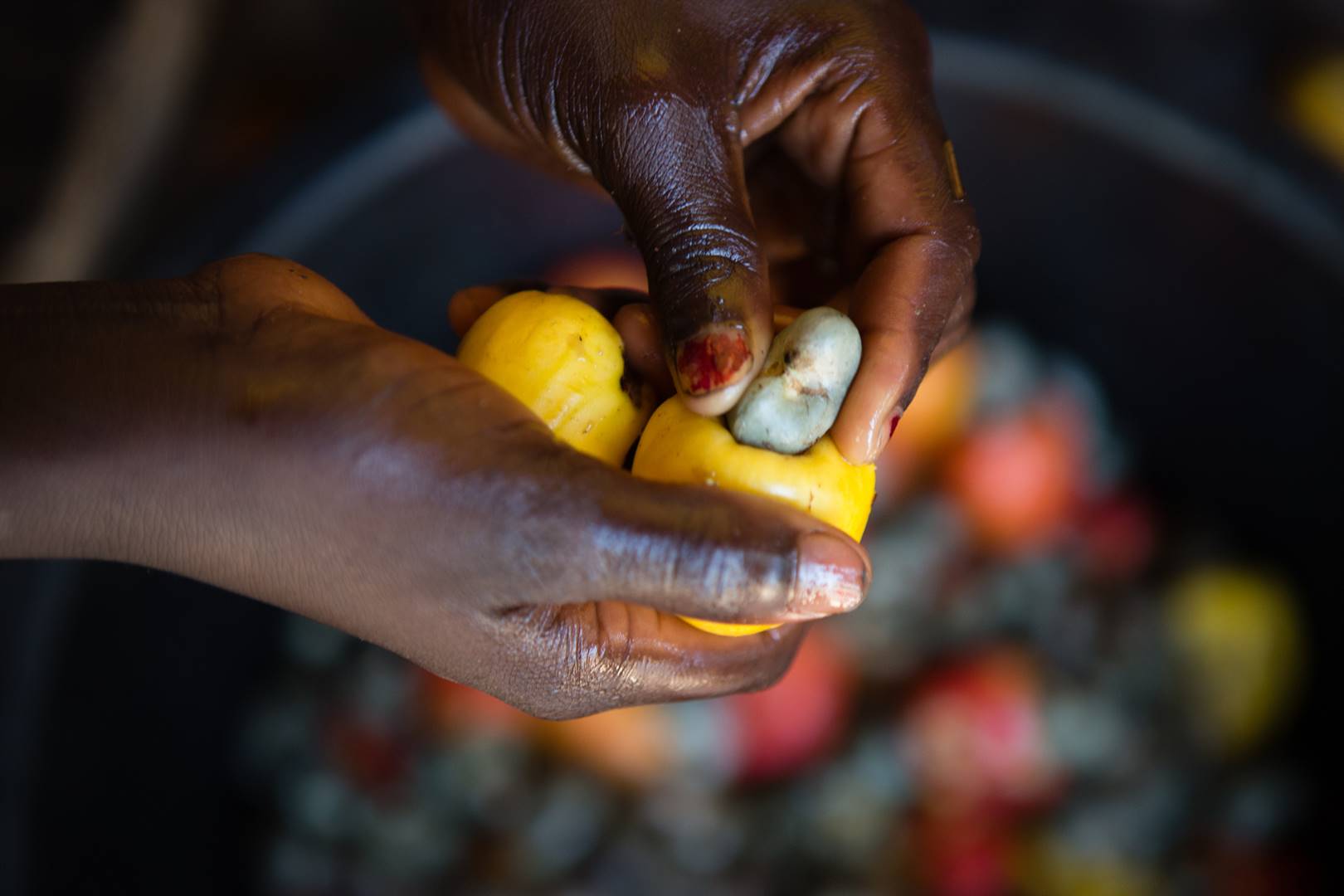 In South Africa, food security has been a hot topic sparked by the civil unrest that swept across Gauteng and KwaZulu-Natal in July. Photo: Supplied/Archive